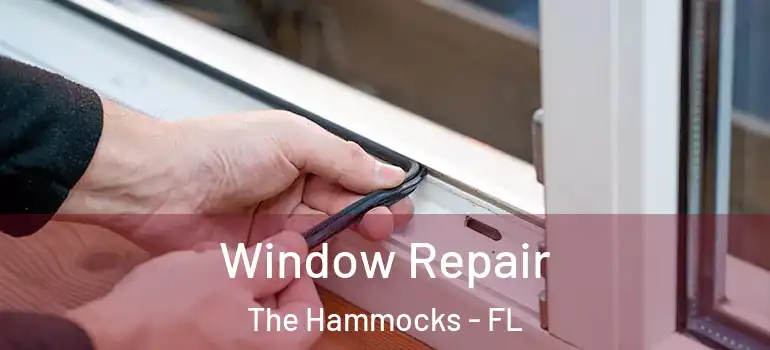  Window Repair The Hammocks - FL