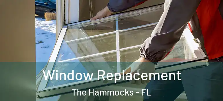  Window Replacement The Hammocks - FL