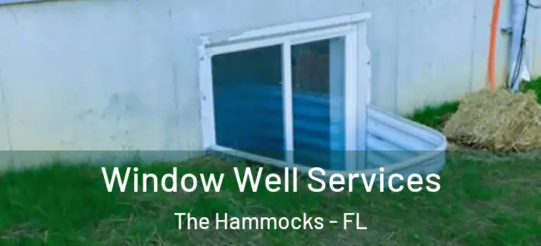  Window Well Services The Hammocks - FL